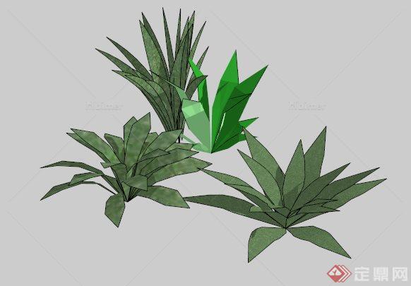 绿化植物、树木su模型