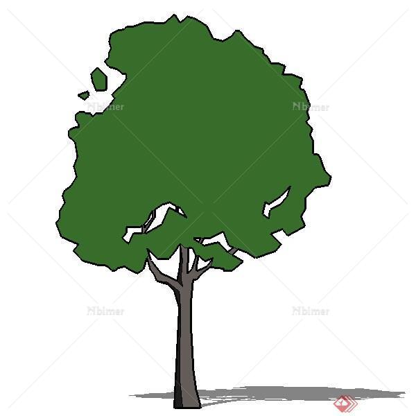 一个2D景观橡木树植物SU模型素材