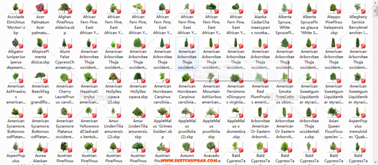 分享sketchup最全的景观树模型 1.14G大