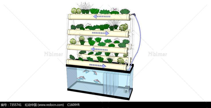 水培植物SU模型