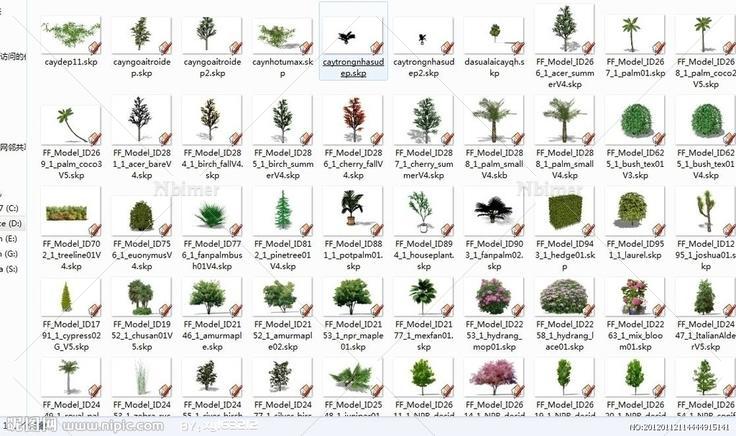 120个sketchup植物模型图片