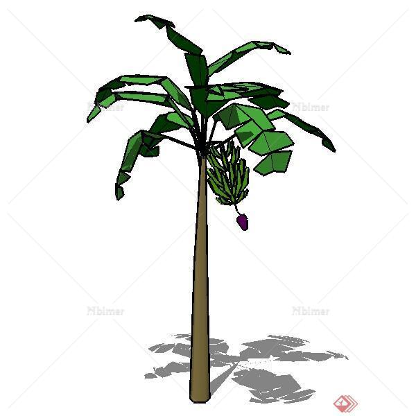 热带香蕉树园林植物SU模型素材