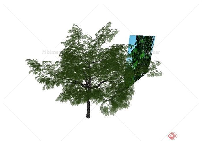 经典详细完整的园林景观树木植物素材设计SU模型