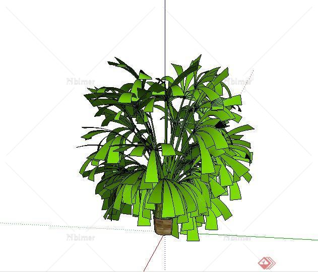 某配景素材热带植物设计SU模型