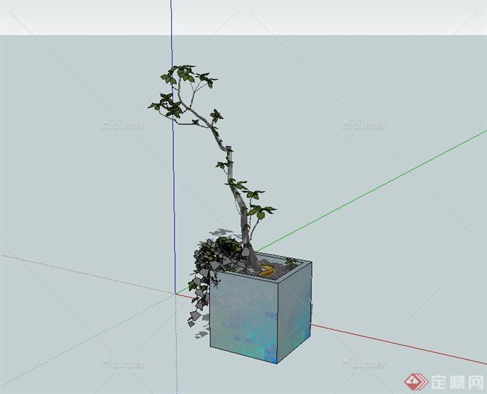 盆栽景观植物设计su模型