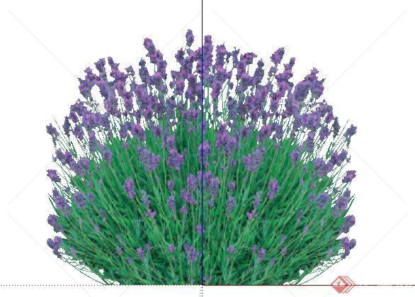 2D灌木花卉3SketchUp(SU)模型