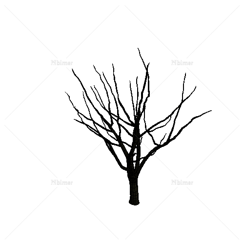 3D干枯的树