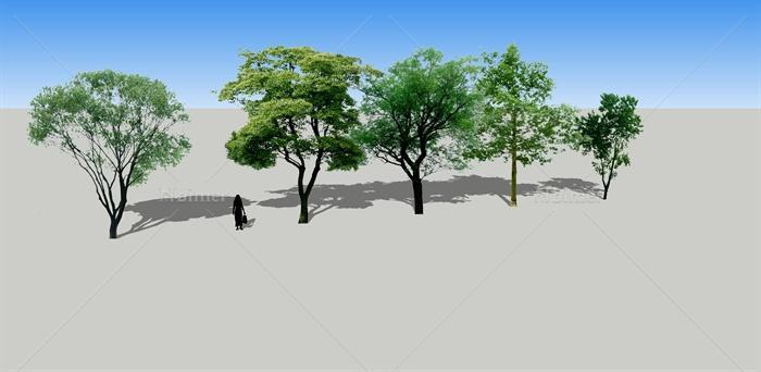 园林景观五棵2D树木su模型