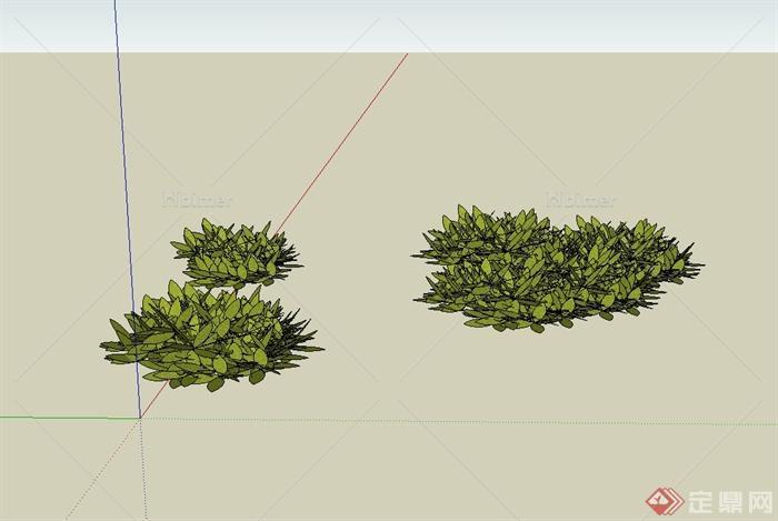 某经典植物素材设计SU模型[原创]