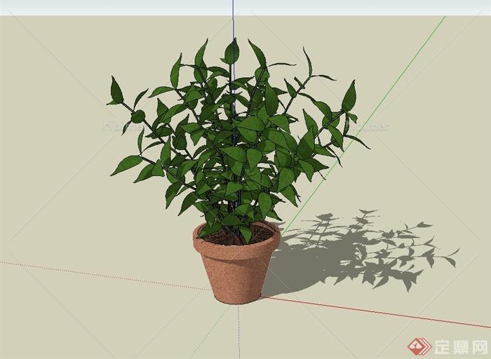 某现代花盆植物设计SU模型[原创]