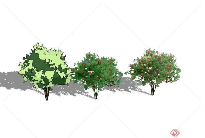某三棵经典树木植物素材设计SU模型[原创]