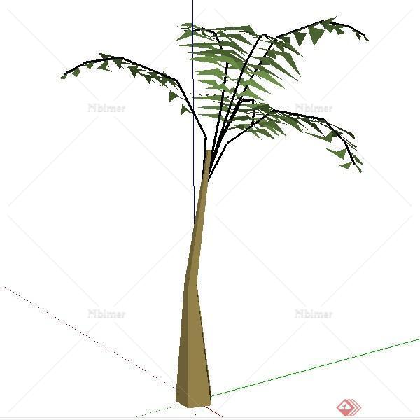 一棵棕榈树景观植物设计的SU模型