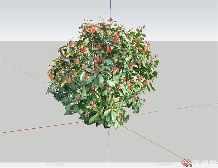 红叶石楠球设计su模型[原创]