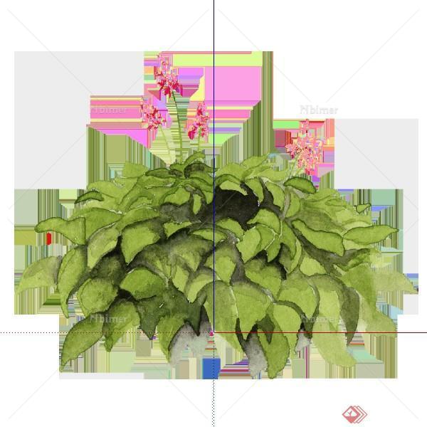 一个2D景观植物盆栽SU模型素材