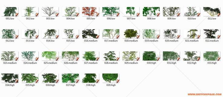 转载：报答一叶刀虫提供分享的3D写实树