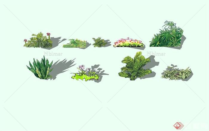 多种不同的手绘植物设计SU模型[原创]