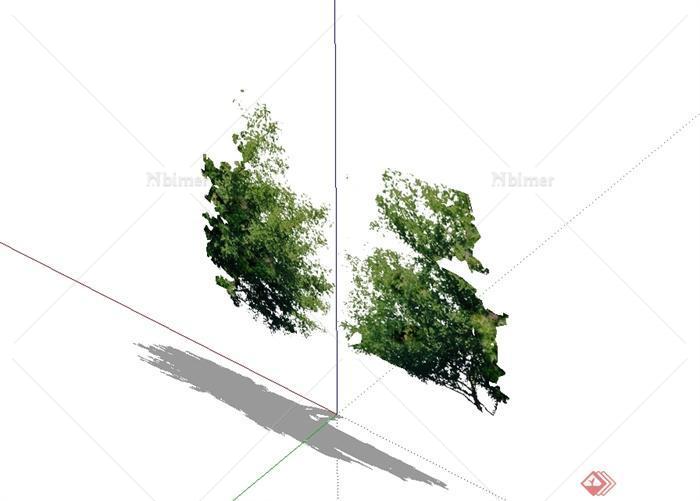 单棵详细手绘树木植物su素材模型[原创]