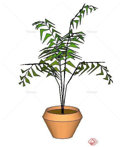 一个盆栽植物SU模型素材（2）