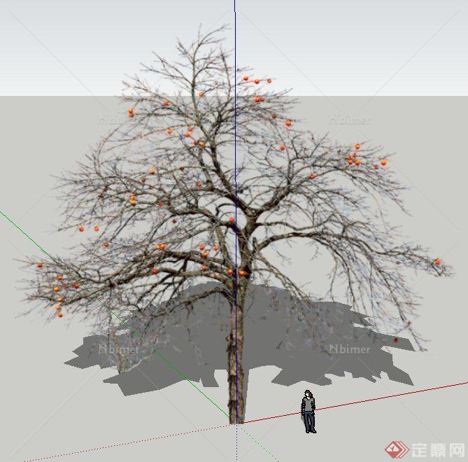 园林景观观果乔木设计SU模型[原创]