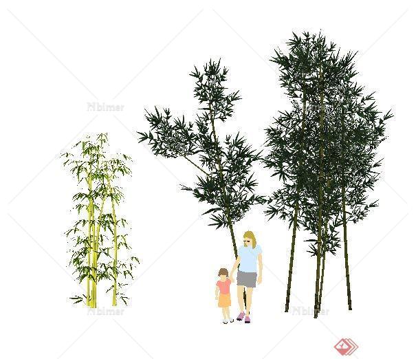 多款竹子植物素材su模型[原创]