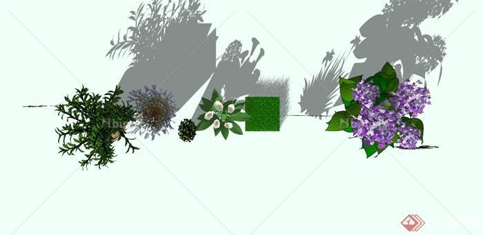 现代盆栽，花卉，地被植物素材设计SU模型[原创]