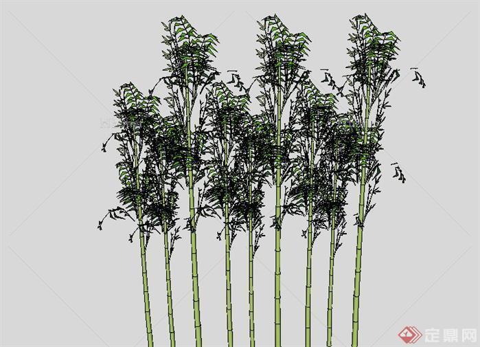 一套景观竹SU模型素材
