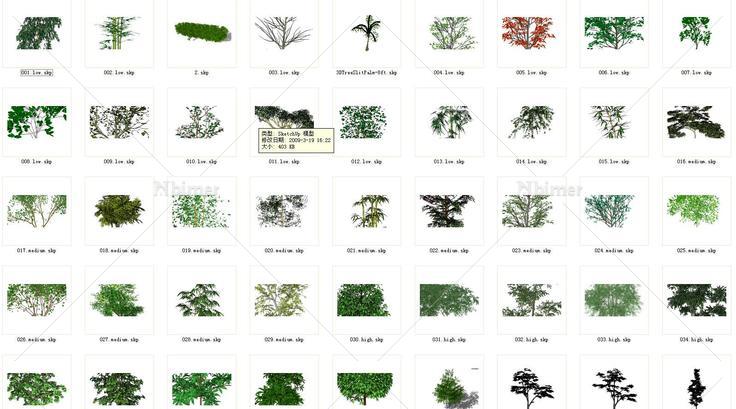 108树，3D树(89198)su模型下载