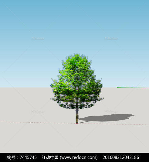 Sketchup真实树模型素材