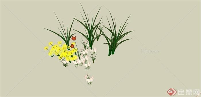 细致草本花卉植物设计SU模型[原创]