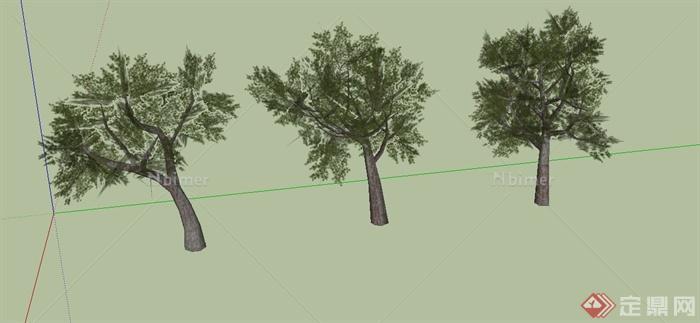 三棵乔木植物设计SU模型素材