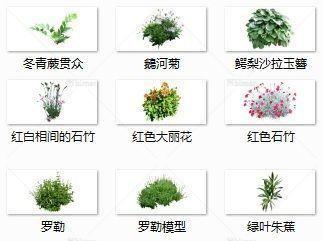 植物单体集合模型SU