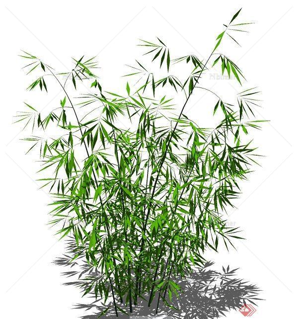 多款景观观赏竹su模型