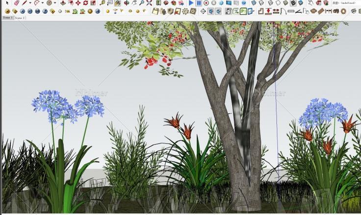 NEW!-分享精致SketchUp 3D树木花草模型组团模型