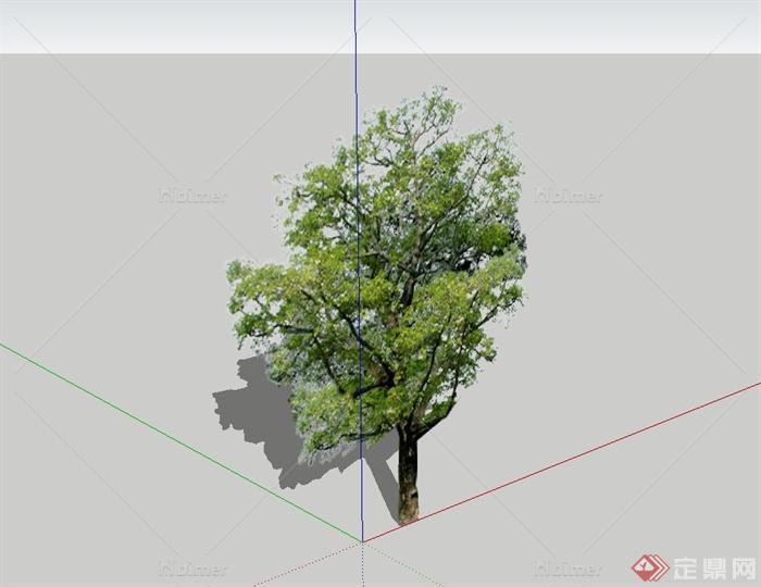 某详细单棵树木植物素材设计su模型[原创]