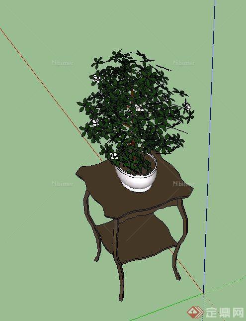 室内木质花架与盆栽植物设计SU模型