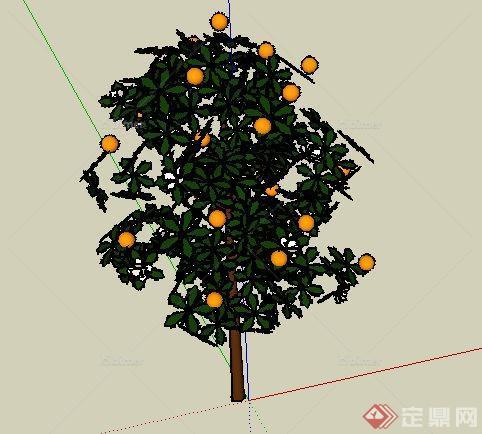一株园林景观树木SU模型素材（3）