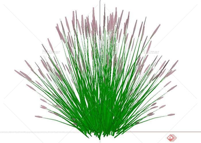 多种景观植物设计素材su模型