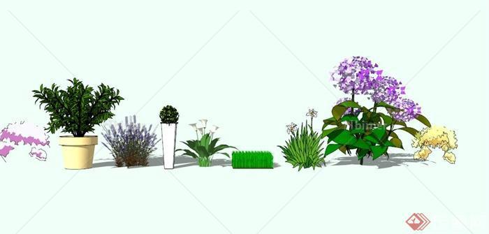 现代盆栽，花卉，地被植物素材设计SU模型[原创]