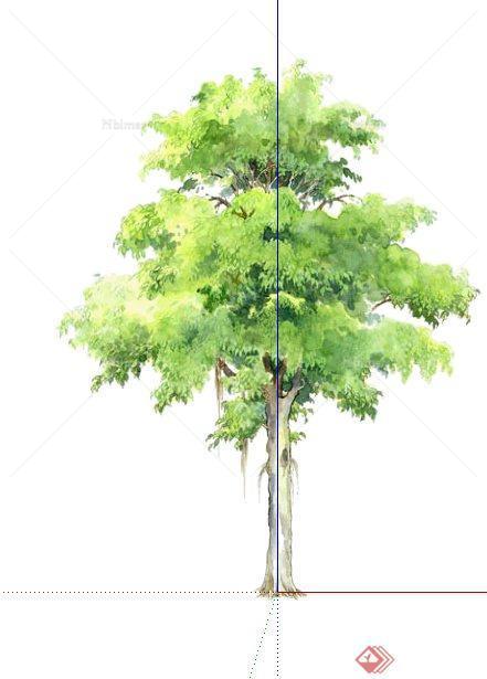 一个2D景观垂叶榕树植物SU模型素材