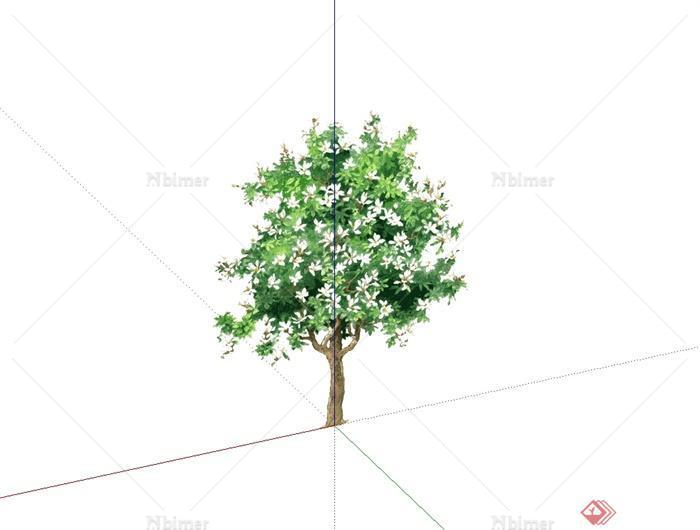 某2d完整的手绘树木植物su素材模型[原创]