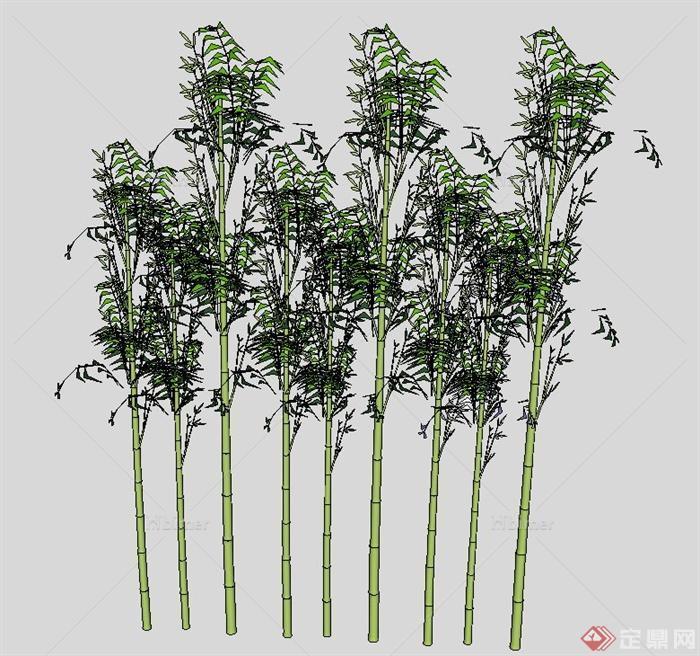 多棵常绿乔木植物素材设计SU模型