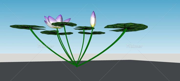 睡莲(79360)su模型下载