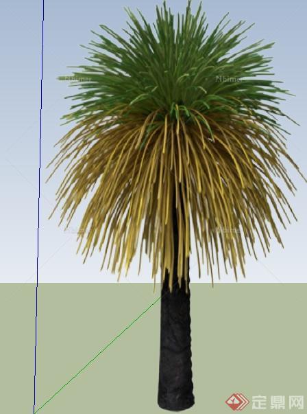 一棵澳洲草树SU模型