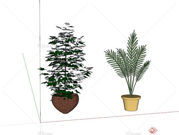 两个现代常见植物盆栽设计SU模型[原创]