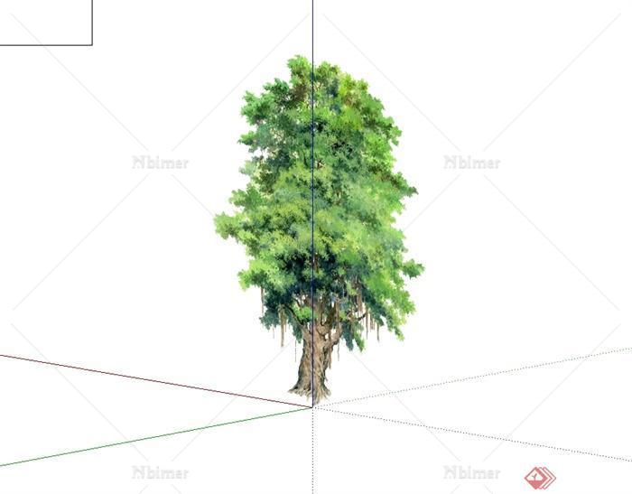 2d详细的景观树木植物设计su素材模型[原创]