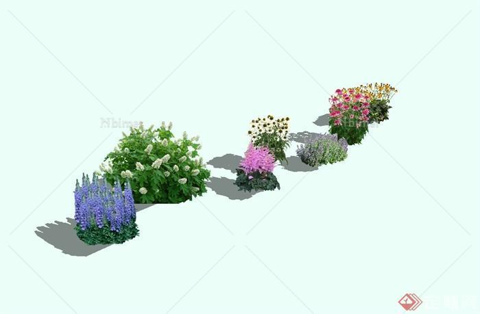 多种景观花卉植物集合su模型[原创]