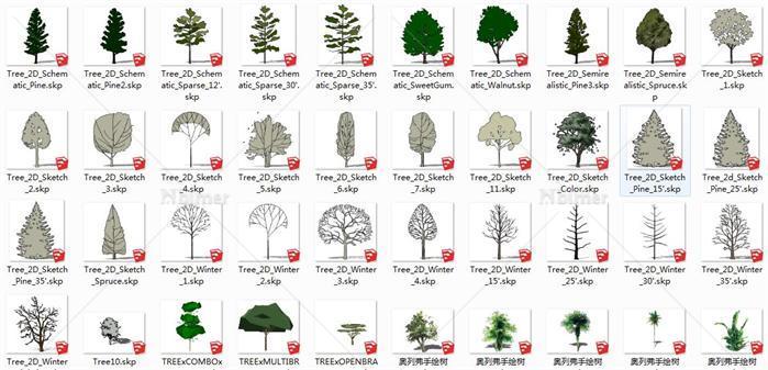 园林设计植物2D立面树su模型