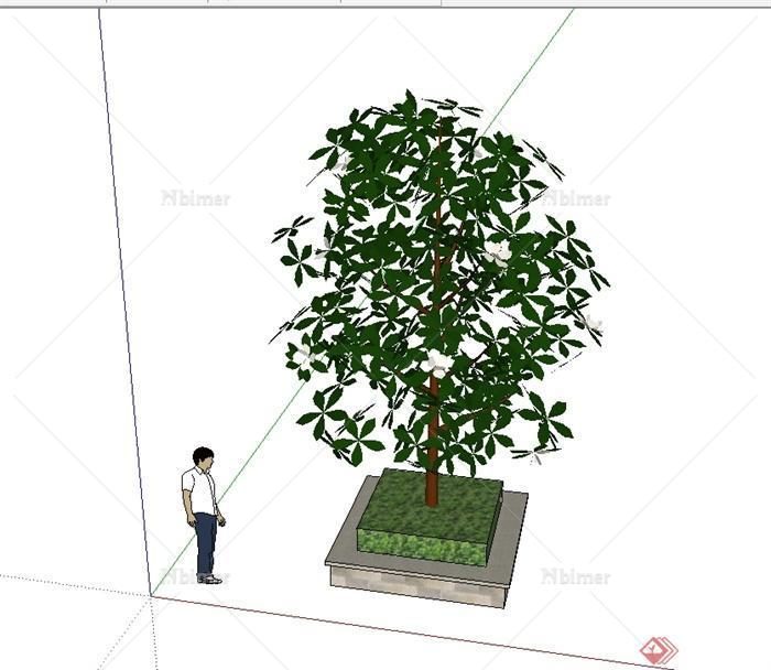 现代树池植物设计SU模型[原创]