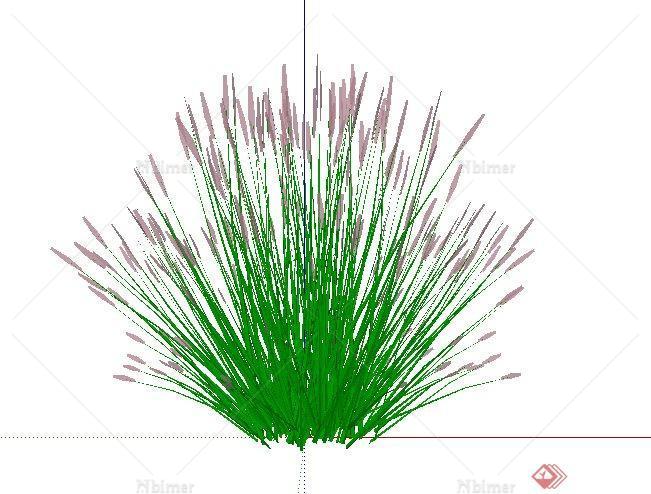 28个观赏花卉植物素材su模型