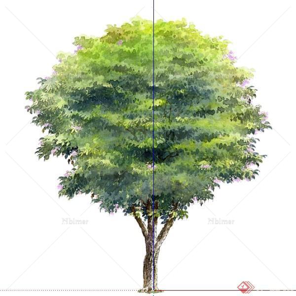 设计素材之景观植物乔木设计素材su模型71